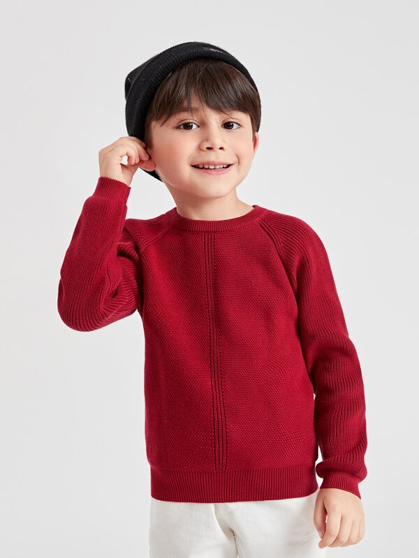 SHEIN Toddler Boys Ribbed Knit Raglan Sleeve Sweater