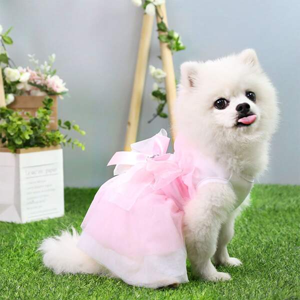 

Bow Decor Pet Dress, Multicolor