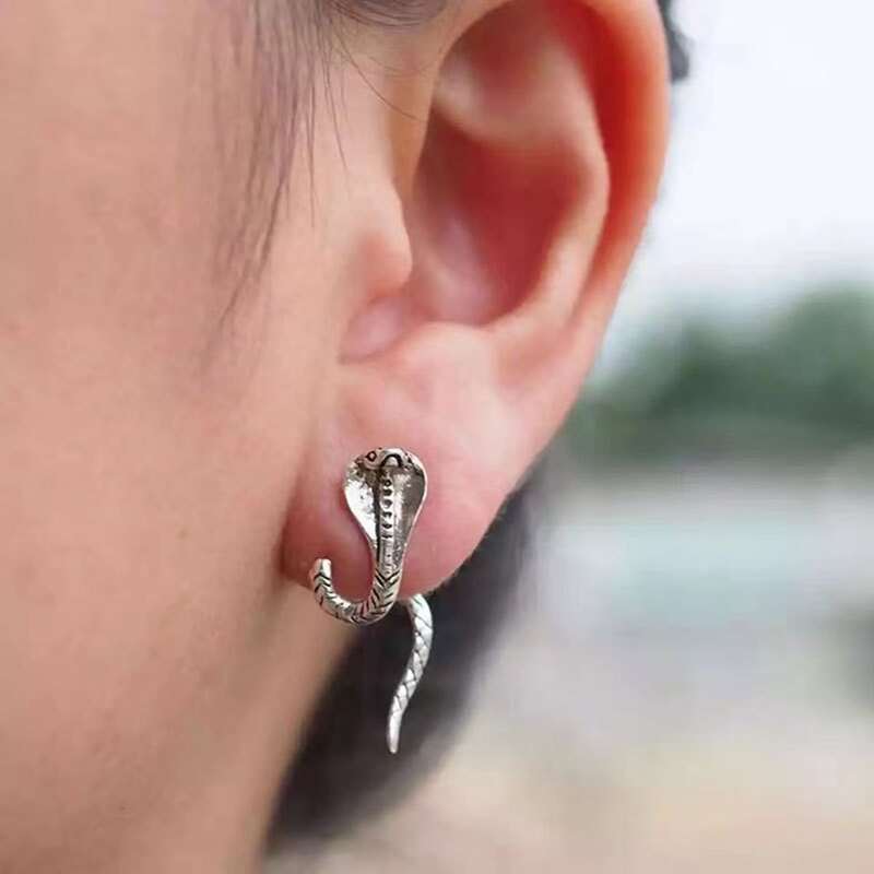 

Snake Decor Earrings, Antique silver