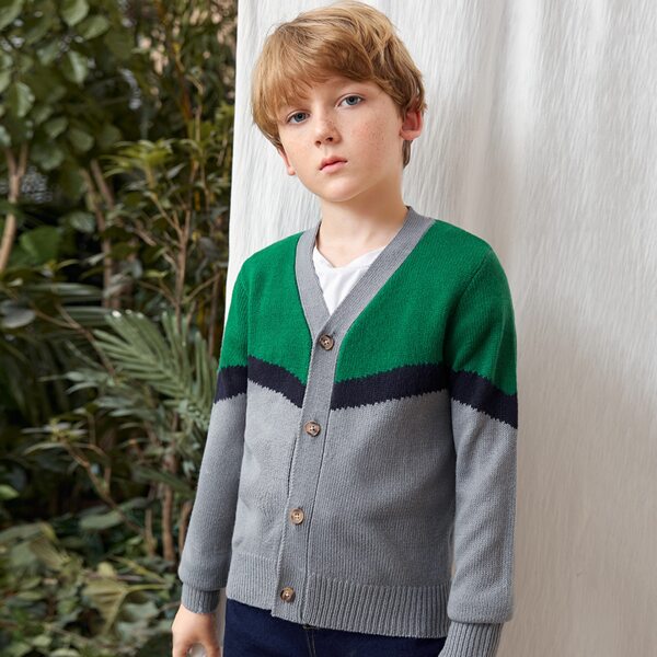 

Boys V Neck Colorblock Striped Button Front Cardigan, Multicolor