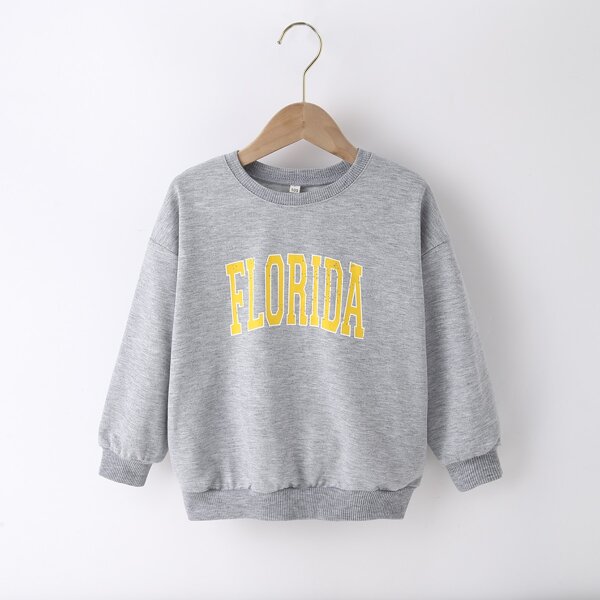 

Toddler Girls Letter Graphic Drop Shoulder Pullover, Light grey