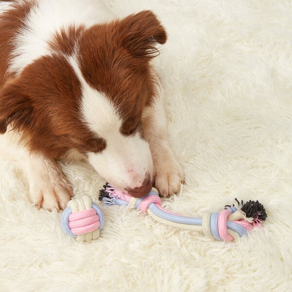 

2pcs Braided Rope Pet Chew Toy, Multicolor