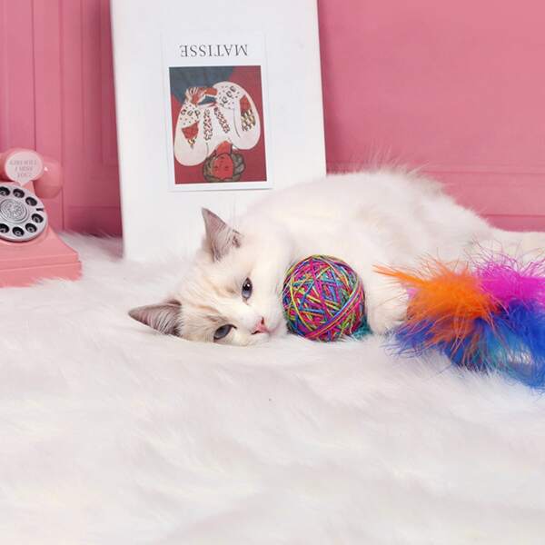 

1pc Feather Detail Cat Teaser Ball, Multicolor