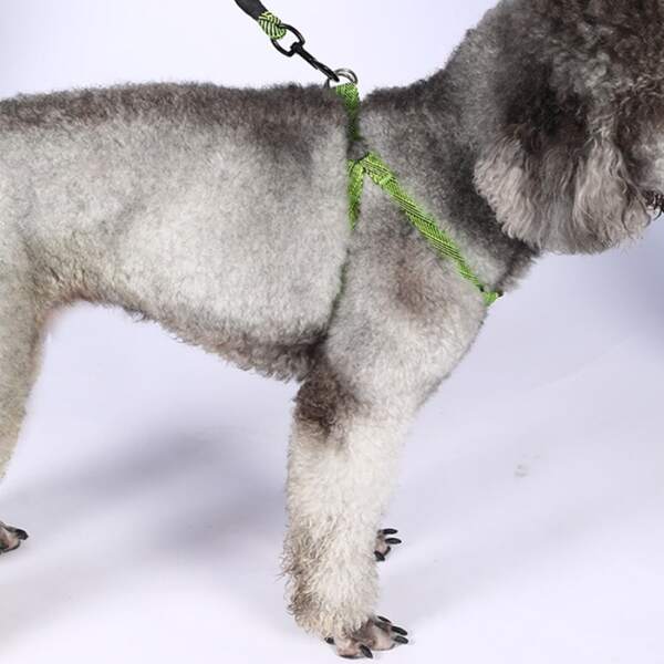 

1pc Line Pattern Pet Harness & 1pc Leash, Multicolor