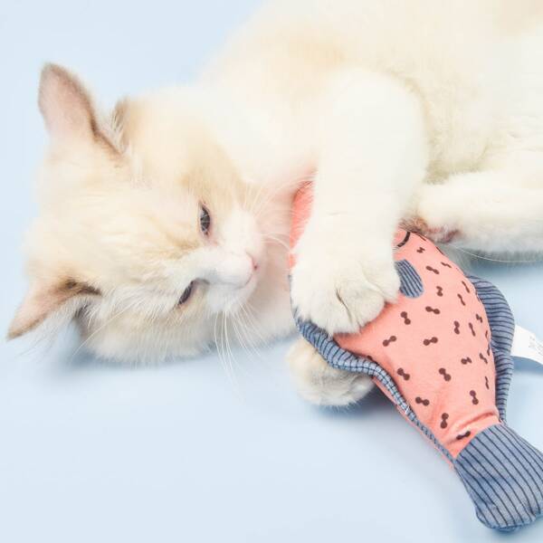 

Fish Shaped Pet Chew Toy, Multicolor