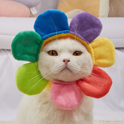 PETSIN 花朵設計寵物頭飾