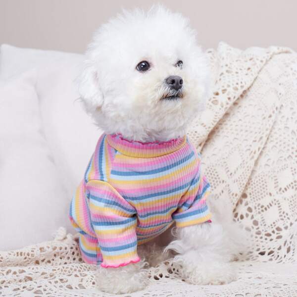 

Striped Print Pet Sweater, Multicolor
