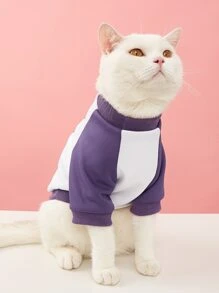 Letter Graphic Pet Tee