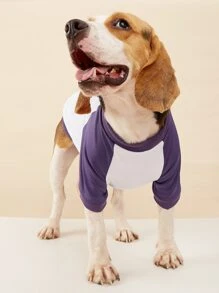 Letter Graphic Pet Tee