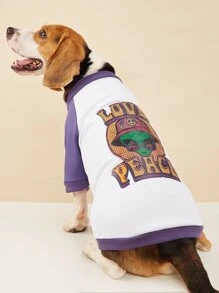 Letter Graphic Pet Tee