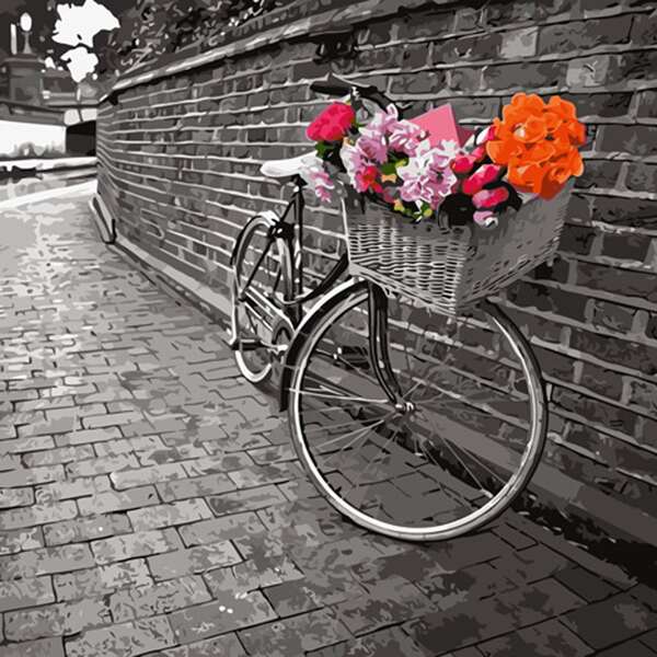 

Bicycle Print DIY Digital Painting Without Frame, Multicolor