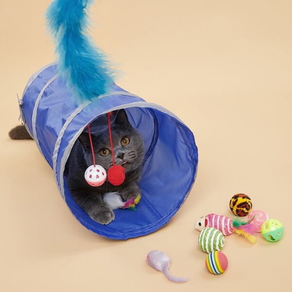 

10pcs Random Color Pet Fidget Toy Set, Blue