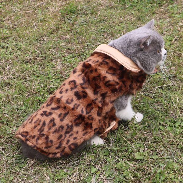

Leopard Print Pet Costume, Multicolor
