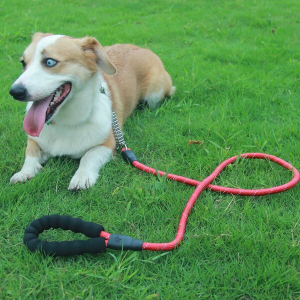 

1pc Braided Rope Pet Leash, Red