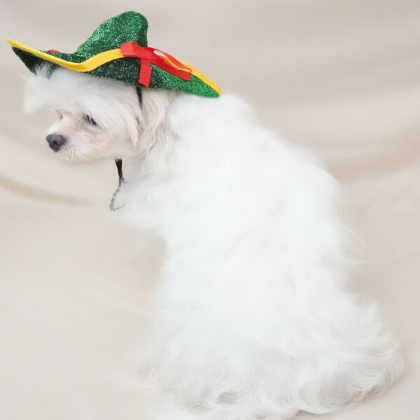 

1pc Bow Decor Pet Headwear, Multicolor