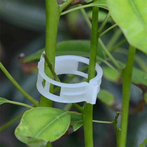 

50pcs Plants Fixing Clip, White