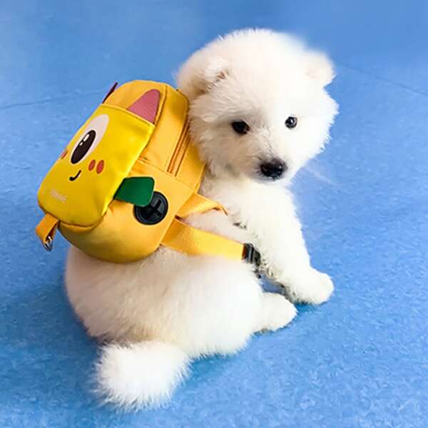 

1pc Cartoon Graphic Pet Backpack, Yellow