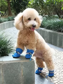 4入組透氣寵物鞋子