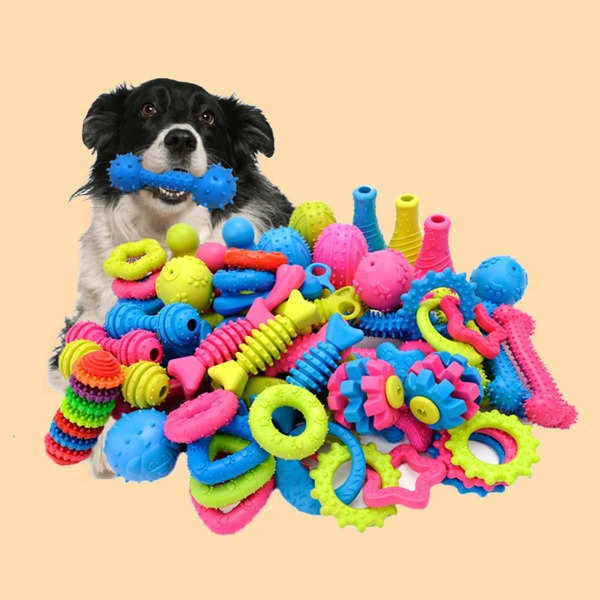 

3pcs Random Pet Chew Toy, Multicolor