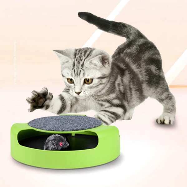 

Mouse Detail Cat Teaser, Multicolor