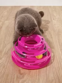 1pc Cat Teaser Turntable