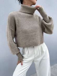 SHEIN Clasi Solid High Neck Drop Shoulder Crop Sweater