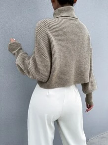 SHEIN Clasi Solid High Neck Drop Shoulder Crop Sweater