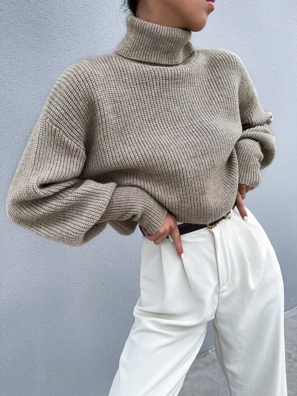 Solid High Neck Drop Shoulder Crop Sweater