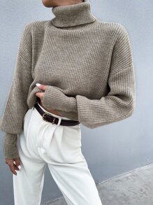 SHEIN Clasi Solid High Neck Drop Shoulder Crop Sweater
