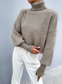 SHEIN Clasi Solid High Neck Drop Shoulder Crop Sweater