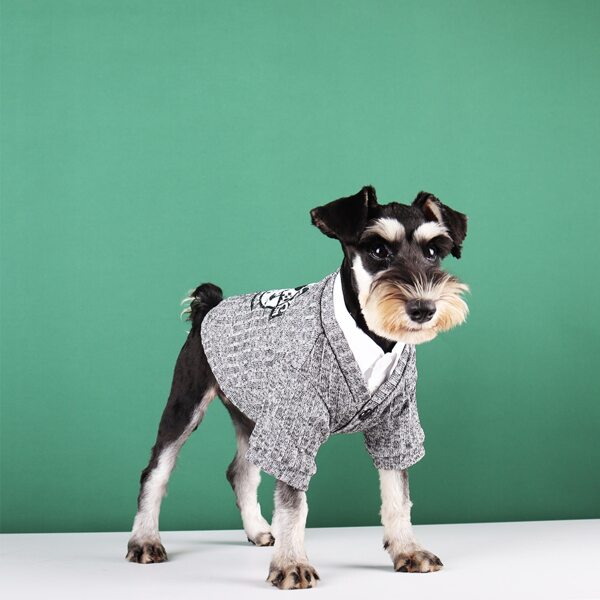 

Letter Graphic Pet Sweater, Multicolor