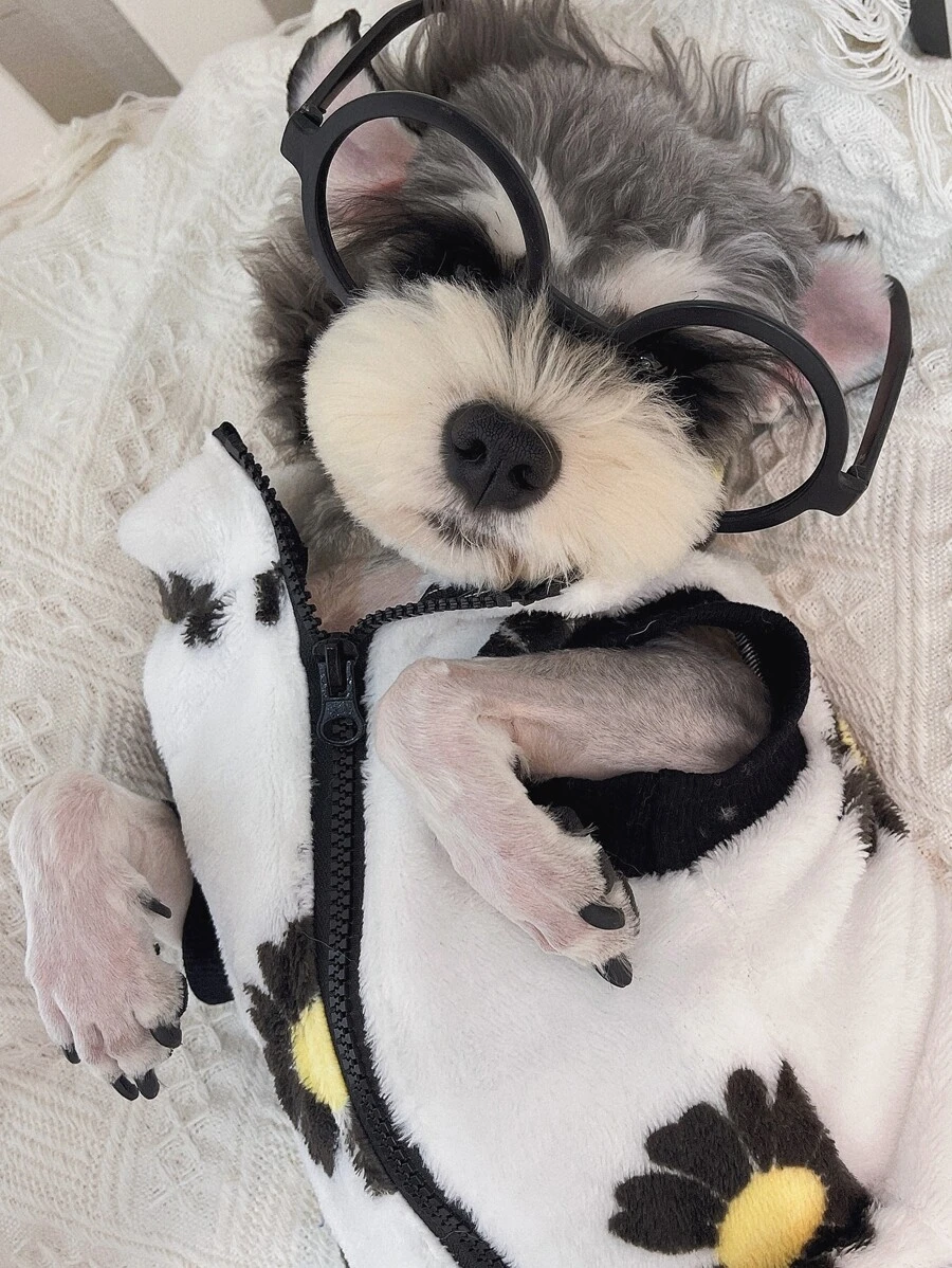 雛菊圖案寵物夾克 - 彩色 - 查看 1