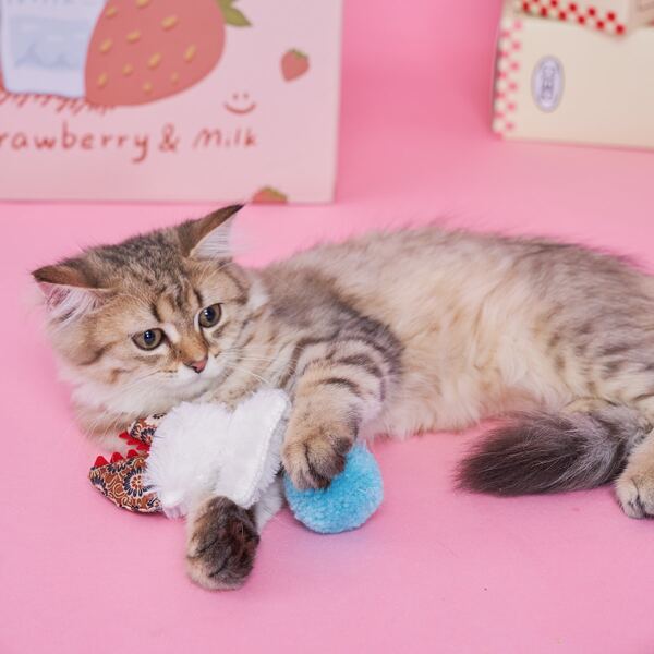 

2pcs Plush Cat Teaser, Multicolor