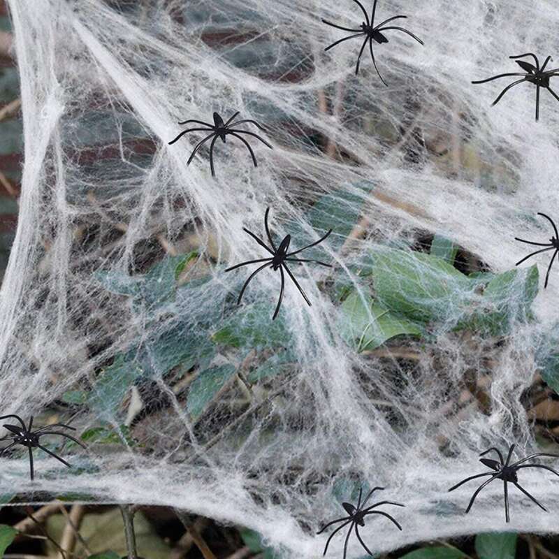 

1set Halloween Spider & Spider Web, Black and white
