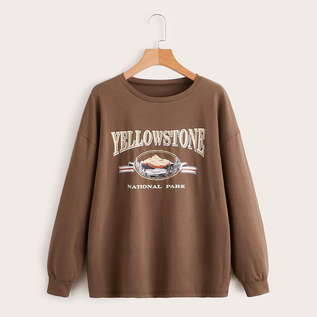 

Letter Mountain Graphic Sweatshirt, Mocha brown