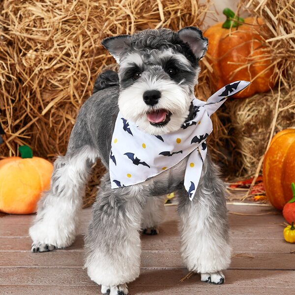 

1pc Halloween Bat & Star Print Pet Bandana, Multicolor
