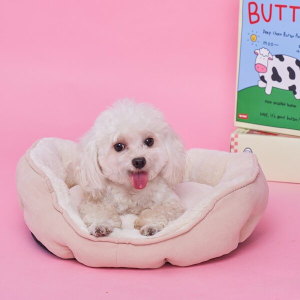 

Plain Pet Bed, Multicolor