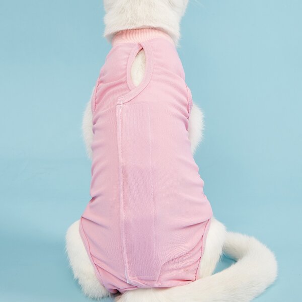 

Plain Pet Sanitary Pant, Pink