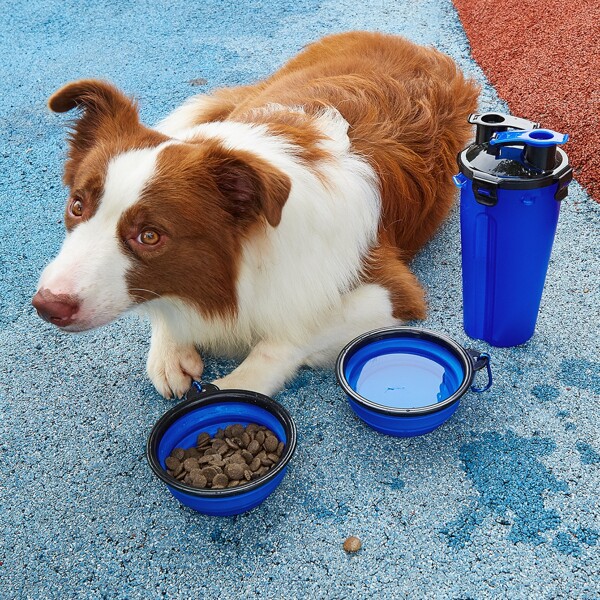 

2pcs Pet Travel Bowl & 1pc Bottle, Multicolor