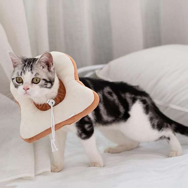 

1pc Toast Design Pet Recovery Collar, Multicolor
