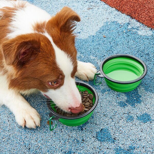 

2pcs Foldable Pet Travel Bowl, Multicolor