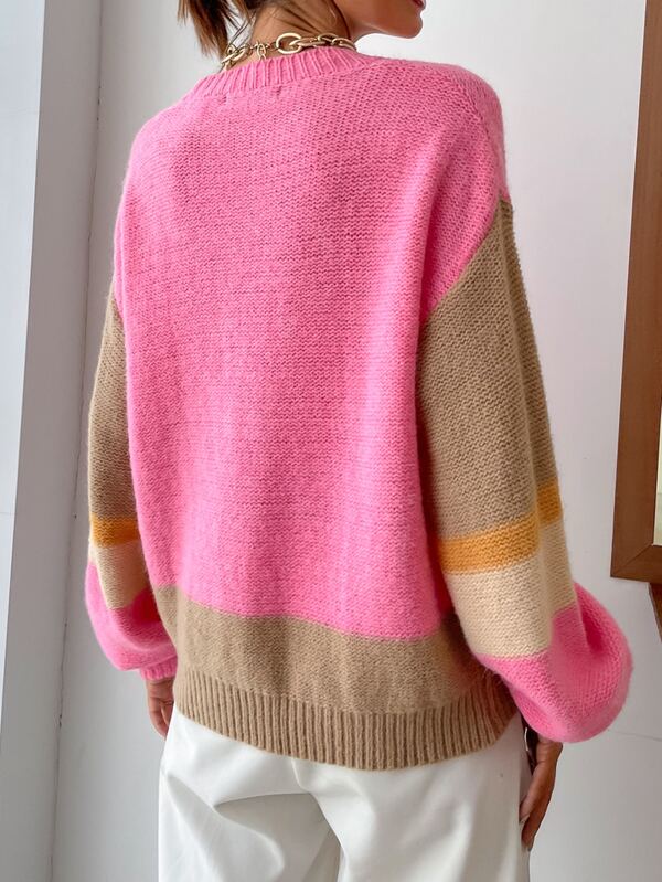 SHEIN Unity Colorblock Drop Shoulder Sweater SHEIN EUR