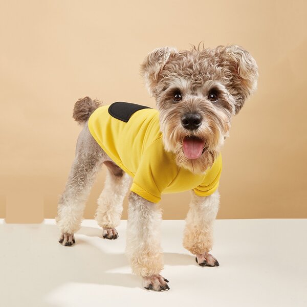 

Color Block Pet Sweatshirt, Multicolor