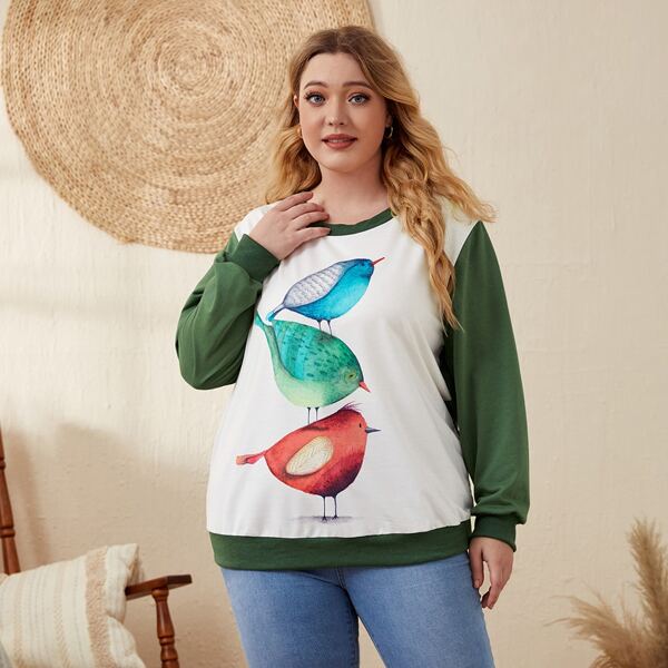 

Plus Bird Print Color Block Pullover, Multicolor