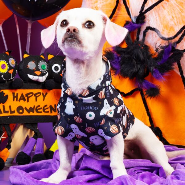 

Halloween Ghost Pet Hoodie, Multicolor