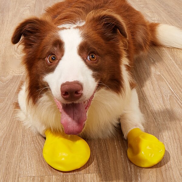 

4pcs Plain Pet Shoes, Yellow