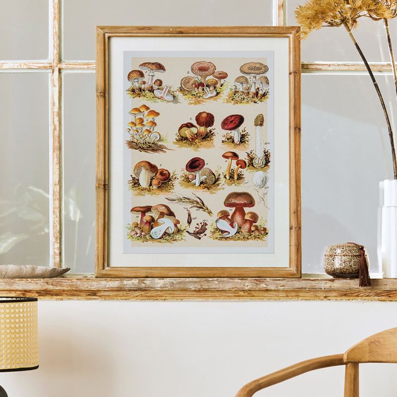 

Mushroom Print Unframed Painting, Multicolor