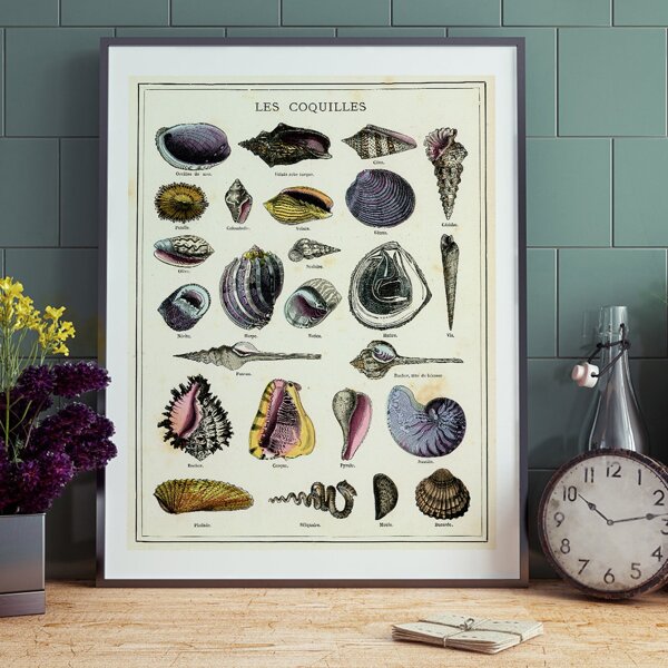 

Shell Print Unframed Painting, Multicolor