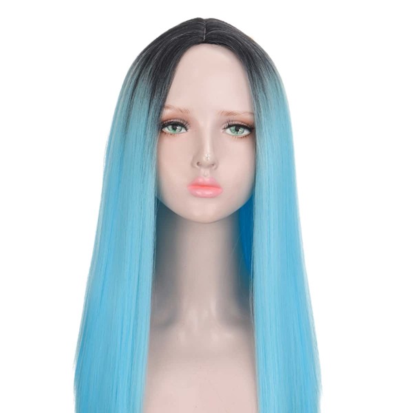 

Natural Long Straight Wig, Ombre