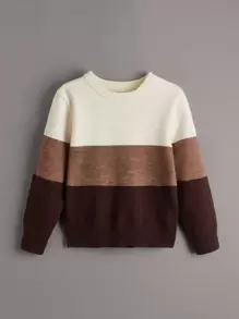SHEIN Leap Crew Chàng trai trẻ Cắt Và May Áo len - Nhiều màu - Xem 1